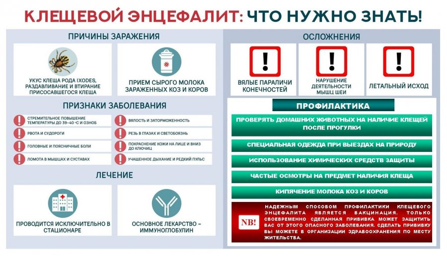 Профилактика клещевых инфекций.
