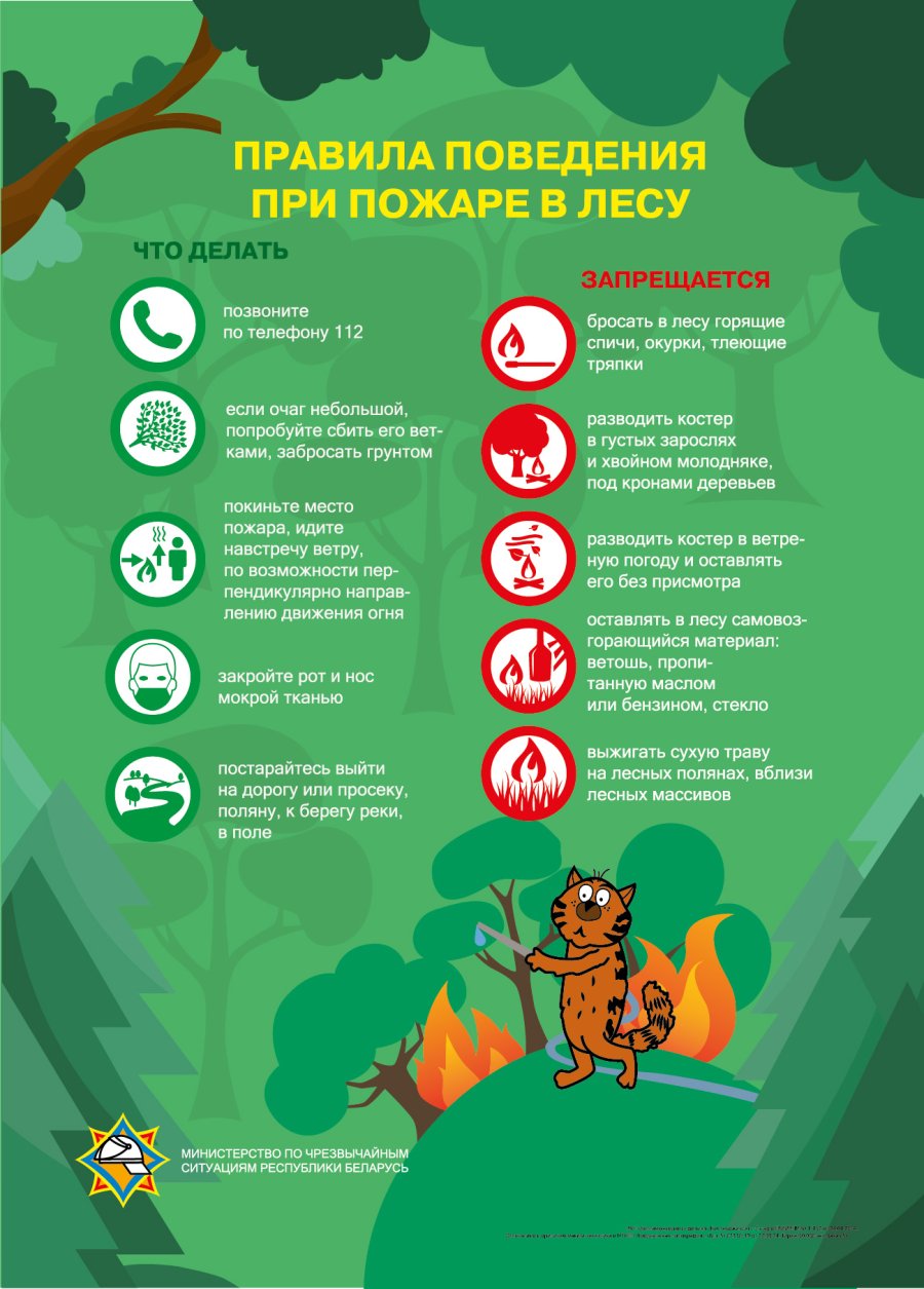 Лесные пожары