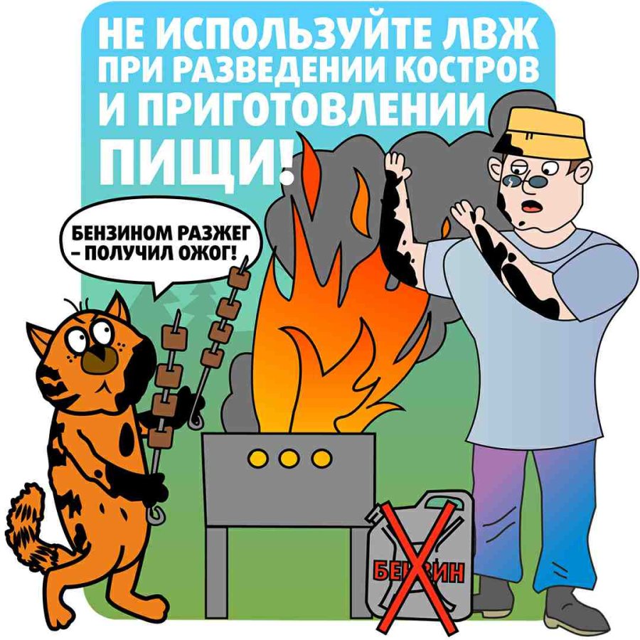 Палы сухой растительности